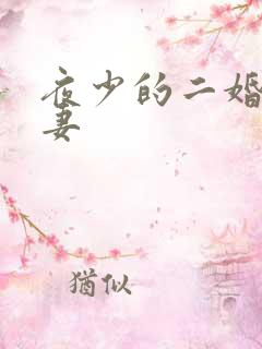 夜少的二婚新妻妻