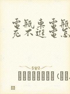 电瓶车电瓶亏电充不进电怎么修复