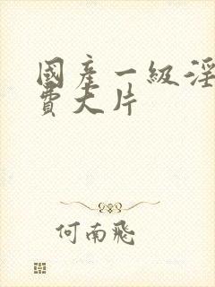 国产一级淫片免费大片