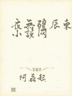 夜无疆辰东顶点小说网