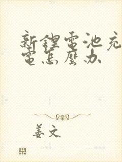 新锂电池充不进电怎么办