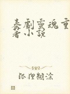 泰剧灵魂重生原著小说