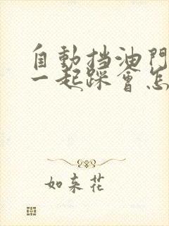 自动挡油门刹车一起踩会怎样