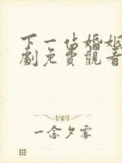 下一站婚姻电视剧免费观看全集完整版