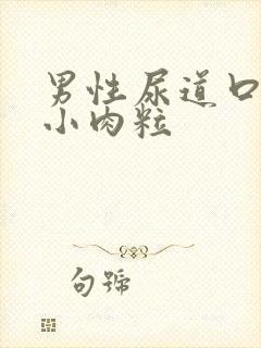 男性尿道口长个小肉粒