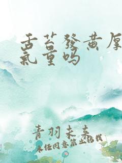 舌苔发黄厚是湿气重吗