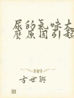 尿的气味大是什么原因引起的