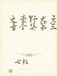 文豪野犬免费观看全集第三季