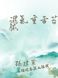 湿气重舌苔白厚腻