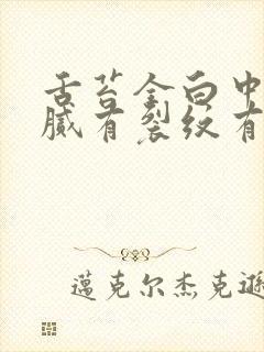 舌苔全白中间黄腻有裂纹有齿痕