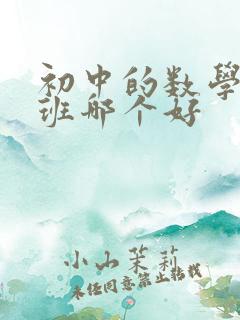 初中的数学补习班哪个好