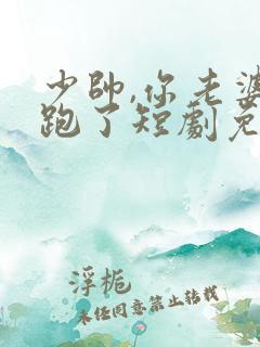 少帅,你老婆又跑了短剧免费大结局