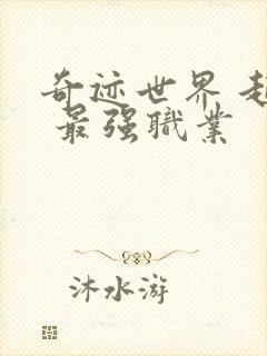 奇迹世界 起源 最强职业