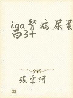 iga肾病尿蛋白3+