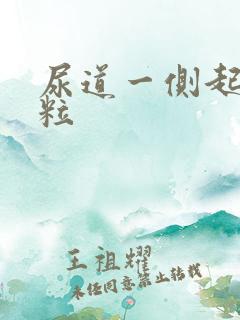 尿道一侧起小肉粒