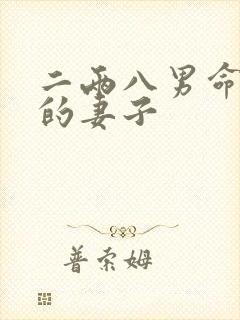 二两八男命注定的妻子