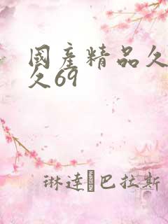 国产精品久久久久69