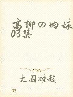 高柳の肉嫁动漫03集