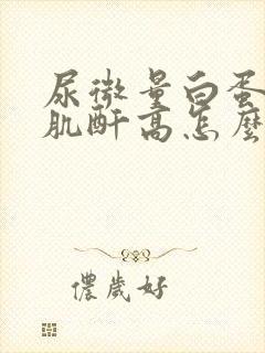 尿微量白蛋白高肌酐高怎么治疗