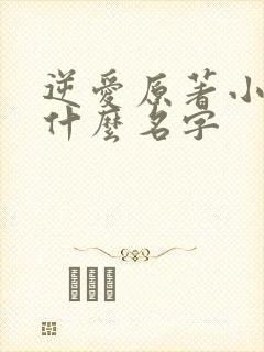 逆爱原著小说叫什么名字