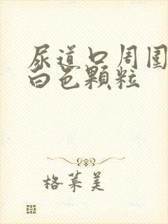 尿道口周围长了白色颗粒