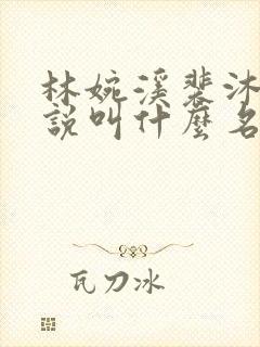 林婉溪裴沐阳小说叫什么名字