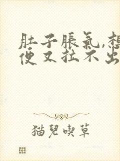 肚子胀气,想大便又拉不出来怎么回事