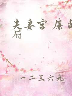 夫妻宫 廉贞天府