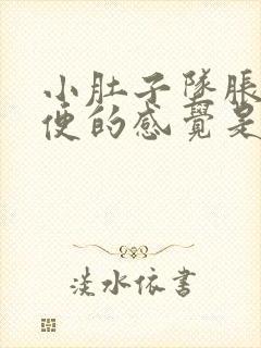 小肚子坠胀想大便的感觉是怎么回事