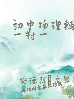 初中物理辅导班一对一