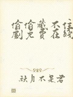 偷偷藏不住电视剧免费在线播放