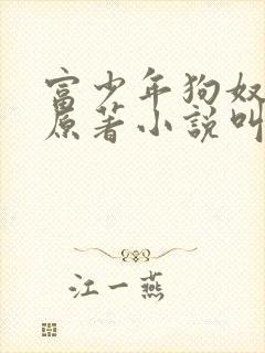 富少年狗奴小说原著小说叫什么名字