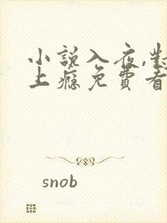 小说入夜,对她上瘾免费看