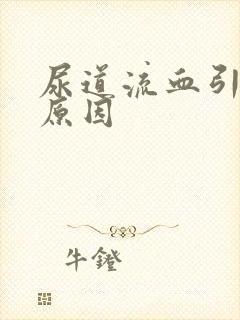 尿道流血引起的原因