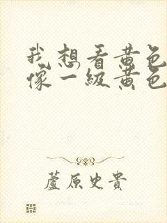 我想看黄色的录像一级黄色录像