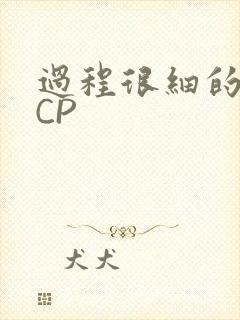 过程很细的开车CP