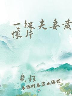 一级夫妻黄色录像片