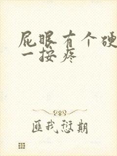 屁眼有个硬疙瘩一按疼