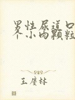 男性尿道口长了个小肉颗粒