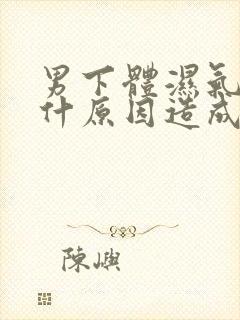 男下体湿气重是什原因造成的