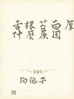 舌根苔白厚腻是什么原因