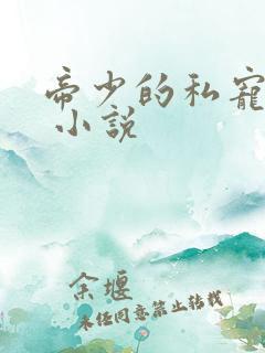 帝少的私宠甜妻 小说