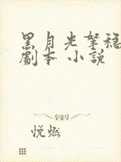 黑月光拿稳be剧本 小说