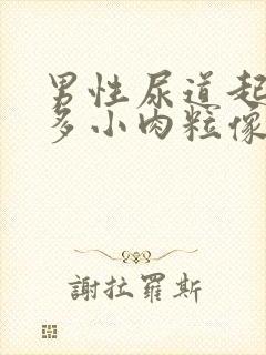 男性尿道起了好多小肉粒像小米粒