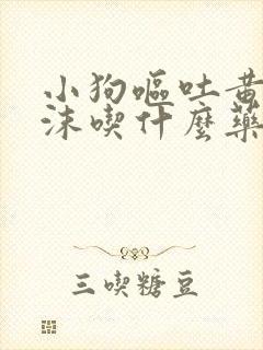 小狗呕吐黄水泡沫吃什么药