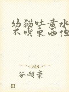 幼猫吐黄水拉稀不吃东西但是精神很好