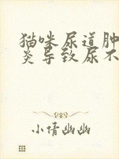 猫咪尿道肿大发炎导致尿不出尿怎么办