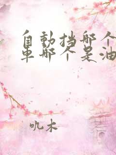 自动挡哪个是刹车哪个是油门