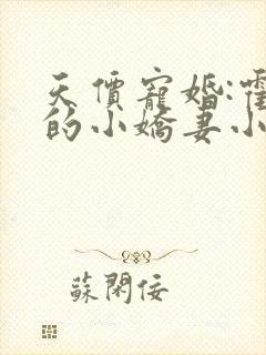 天价宠婚:霍总的小娇妻小说免费