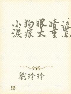 小狗眼睛流眼泪泪痕太重怎么办